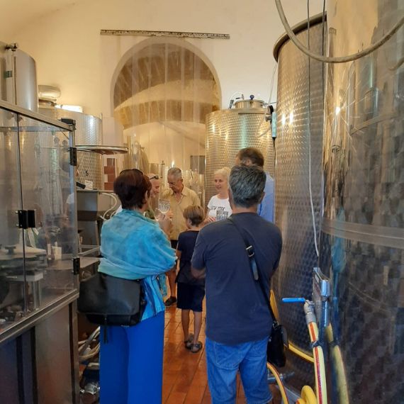 Degustazione del vino Cantina Robertiello vino