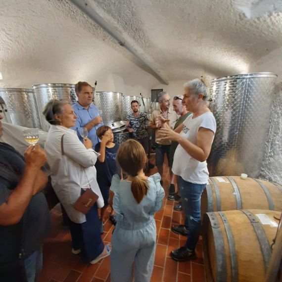 Degustazione del vino Cantina Robertiello